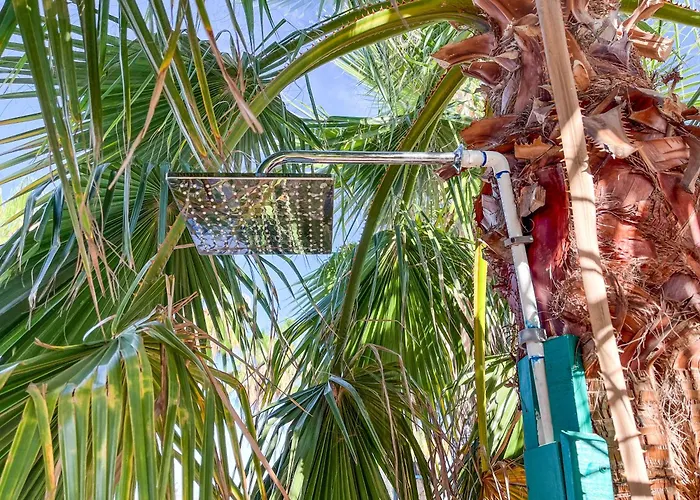Baja Mia